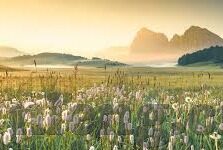 日韩高清av一区-日韩高清AV一区，文化与艺术的独特视角